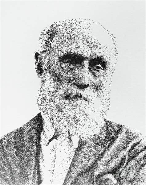 Old Man With Beard Drawing By Don Locke