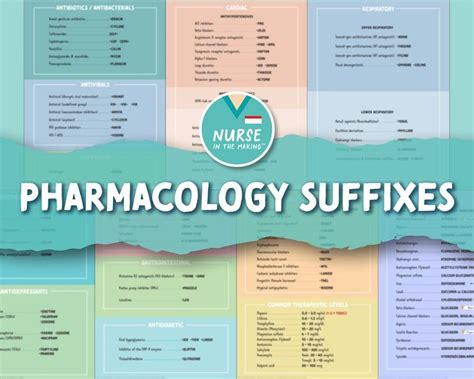 Pharmacology Suffixes 80 Of The Most Common Suffixes Etsy Nursing