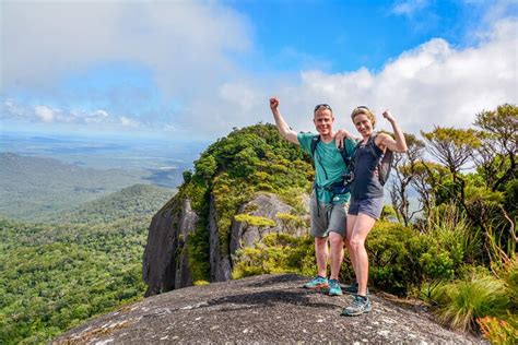 2023 Cairns Rainforest Hiking Experience Incredible Mountains Remote