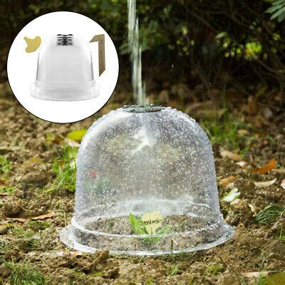 How to prepare and protect plants from frost. 1 Set Garden Plastic Cloche Plants Bell Dome Plant Protect ...