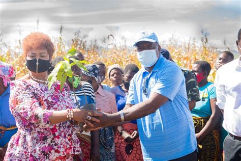 Fdh Bank Empowers Women Through Fruit Tree Planting