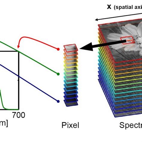 Example Of A Hyperspectral Image Data Cube Each Pixels Consists Of A
