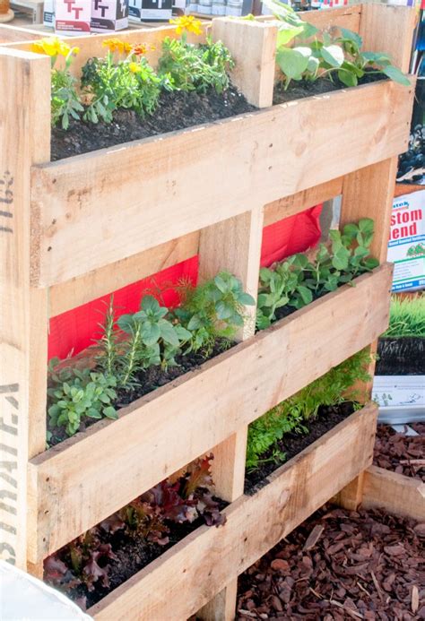 These vertical gardens can be placed on. How to build a Vertical Pallet Garden | Katek Fertilizers