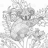 Koala Coloritura Kleurende Boom Baum Adulti Patterned Pflanzenbestandteile Blatt Bildhintergrund Draag sketch template