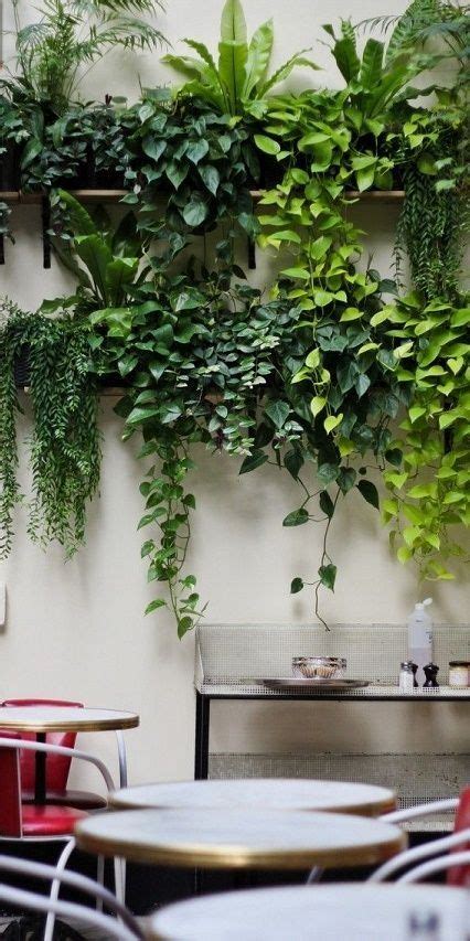 32 Office Plants Youll Want To Adopt In 2021 Small Patio Garden
