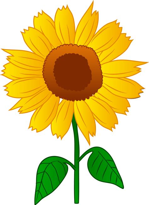 Cartoon style images to buy online. Free Cartoon Sunflower, Download Free Cartoon Sunflower ...