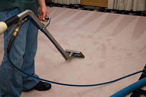 Top 10 Reasons To Have Carpets Professionally Cleaned The Carpet And