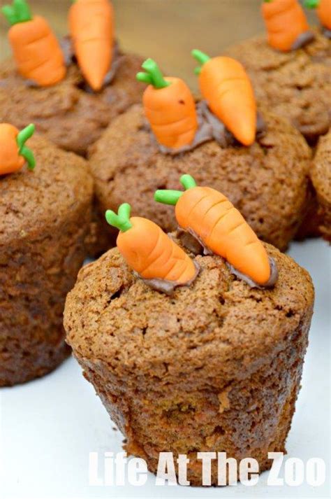Easy Carrot Cupcake Recipe Life At The Zoo