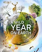 A Wild Year on Earth | TVmaze
