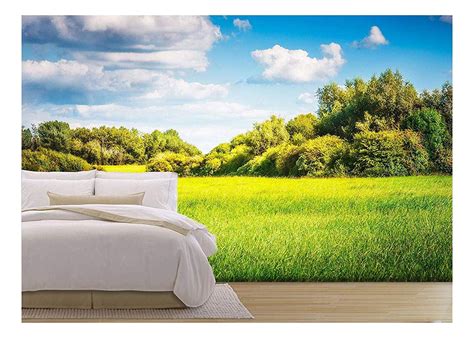 Wall26 Green Field With Trees And Blue Sky Nature Landscape In