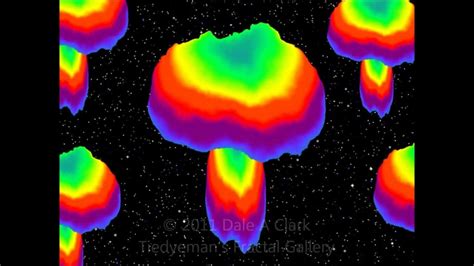Psychedelic Space Mushrooms A Fractal Animation Youtube