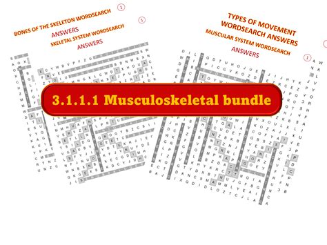 Aqa Gcse Pe Musculoskeletal Wordsearchs Teaching Resources