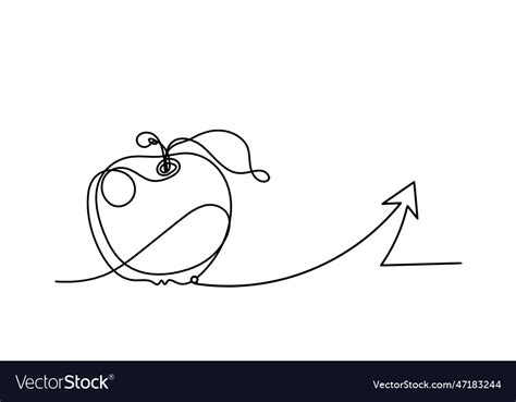 Drawing Line Apple With Arrow On The White Vector Image
