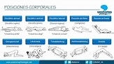 POSICIONES CORPORALES || Resúmenes de Anatomía y Fisiología - YouTube