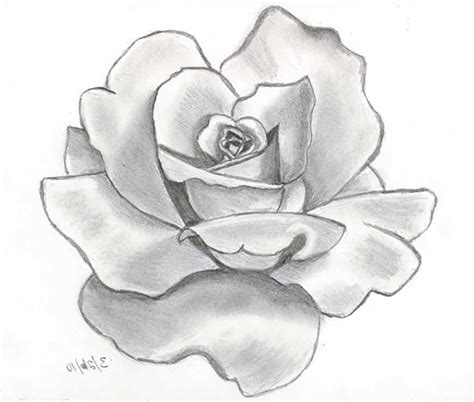 ✓ free for commercial use ✓ high quality images. Awesome Flower Drawings - WeNeedFun