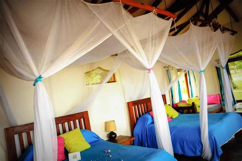 Pineapple Bay Resort Entebbe Uganda Africanmecca Safaris And Tours