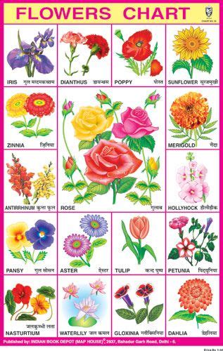 Whether you are picking out a flower bouquet for mother's day or a wedding or planting a garden, discover the secret language of flowers! Pin on Ramkumar