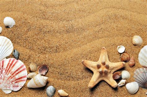 Kostenlose Foto Strand Meer K Ste Wasser Natur Sand Sonne Wei