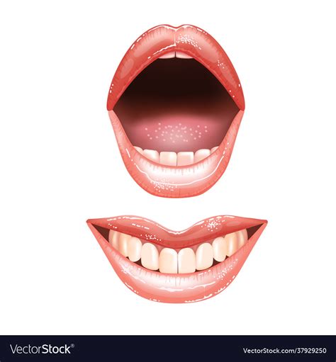 Shining Beautiful Female Nude Lips With Teeth Vector Image