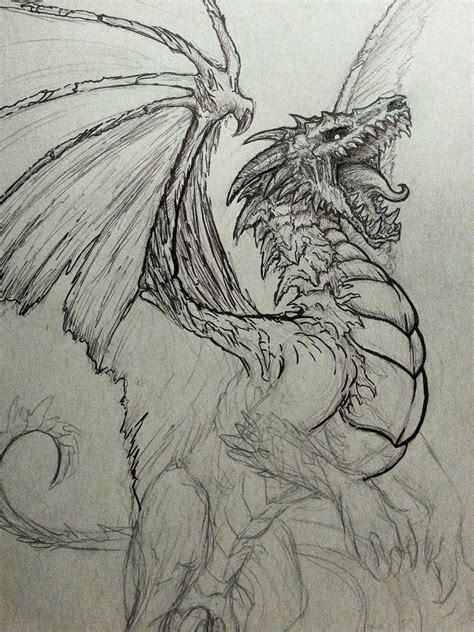 Undead Dragon Sketch By Crystalsully On Deviantart Art Drawings