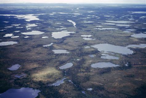 Free Picture Several Lakes Wetland Aerial Perspective