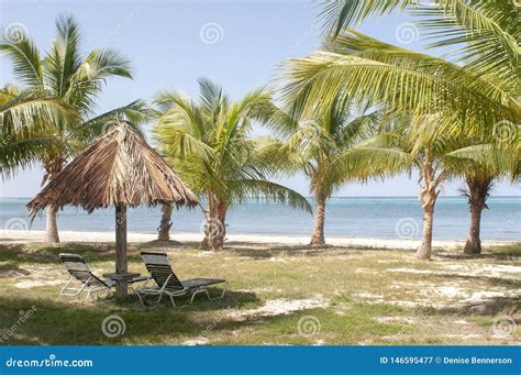 Hut With Chairs And Palm Trees On Beach Landscape With Beautiful Blue