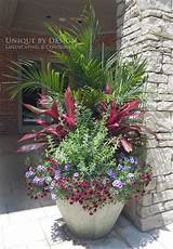 See more ideas about garden, plants, container gardening. 25 Ideas of Outdoor Plants In Pots Ideas