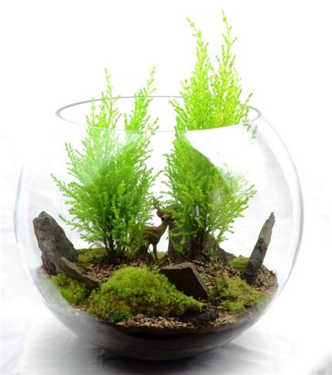 They say that cactus gardens are only for busy people or those who need greenery that has minimal maintenance requirements. Make your miniature garden in a glass bowl: Ideas for ...