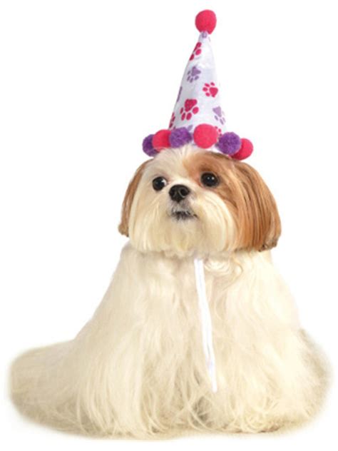 Birthday Girl Paw Prints Pet Hat
