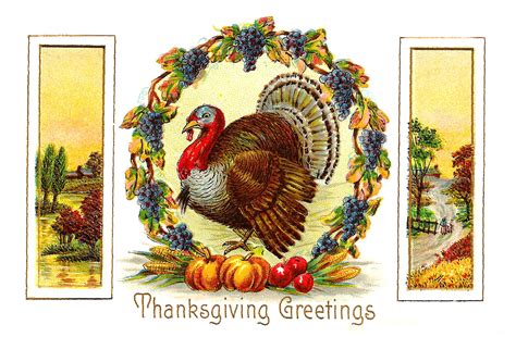 Antique Images Free Thanksgiving Day Graphic Thanksgiving Turkey With