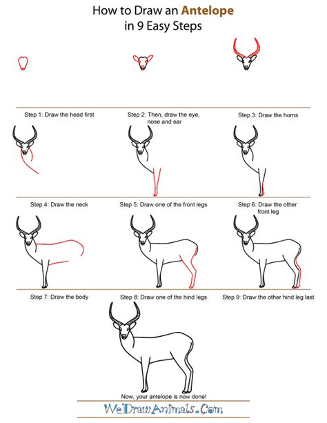 Https://tommynaija.com/draw/how To Draw A Antelope