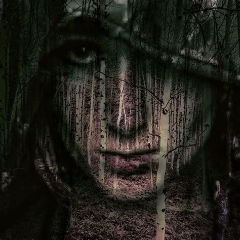 A Womans Face Surrounded By Trees In The Middle Of A Forest With Her