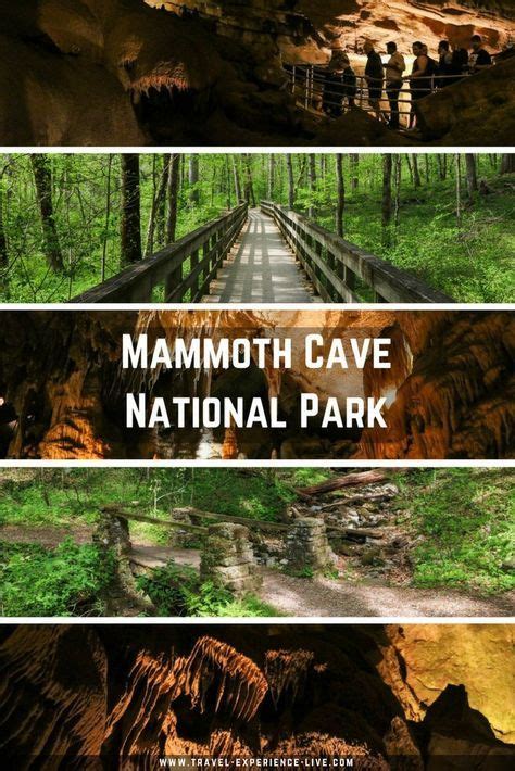 Mammoth Cave National Park Kentucky Kentucky Vacation Kentucky Travel