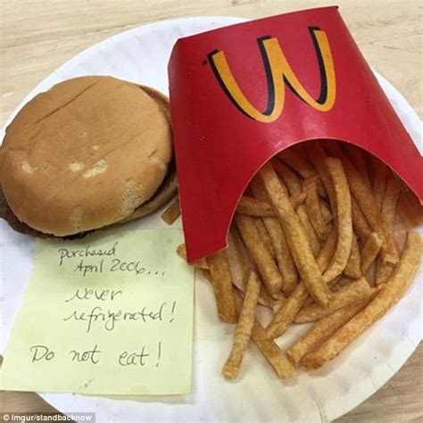 Mcdonalds Cheeseburger And Chips That Hasnt Rotted In Ten Years