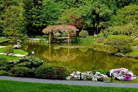 863637 4k 5k Augsburg Japanese Garden Germany Gardens Pond