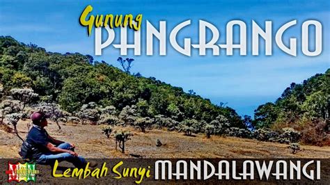 Lembah Sunyi Mandalawangi Gunung Pangrango Sukabumi Jawa Barat