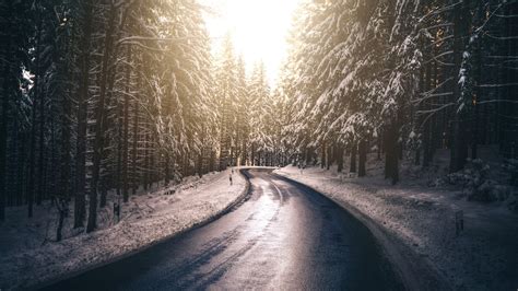 5120x2880 Forest Nature Road Snow Tree Winter 5k 5k Hd 4k Wallpapers