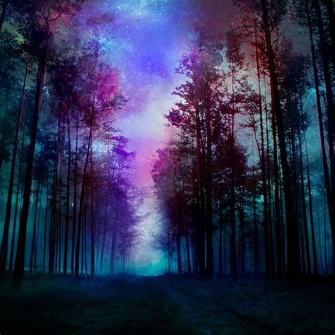 Galactic Forest So Beautiful Magical Forest Scenery Background