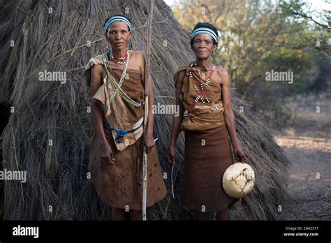 portraits de personnes de la tribu des bushmen naro le botswana abrite environ 63 500 000 san