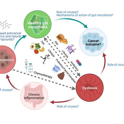 The Complex Interplay Of Gut Microbiota With The Five Most Common