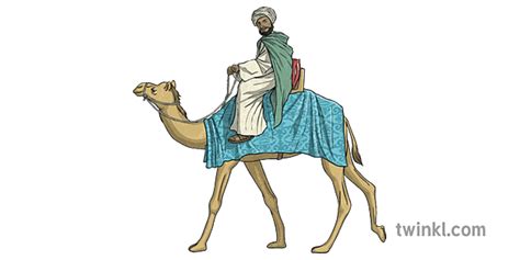 Ibn Battuta On A Camel Muslim Moroccan Scoláire History Ks2 Illustration