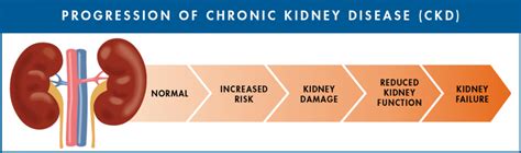 Overview of the main causes of chronic kidney disease (ckd), including diabetes and high blood pressure, glomerular diseases, and polycystic kidney often, the first sign of kidney disease from diabetes is protein in your urine. Chronic Kidney Disease: Managing 4 Risk Factors - Jay Harold