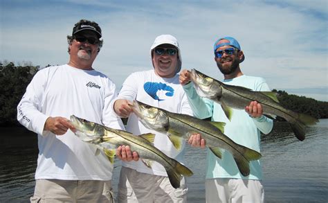 Snook Tampa Bay And St Petersburg Fishing Charter Florida