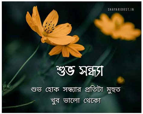 শুভ সন্ধ্যা মেসেজ Bangla Good Evening Sms Quotes And Kobita