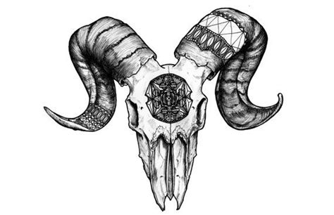 Patterned Ram Skull Black And White Digital Art Print Of An Original