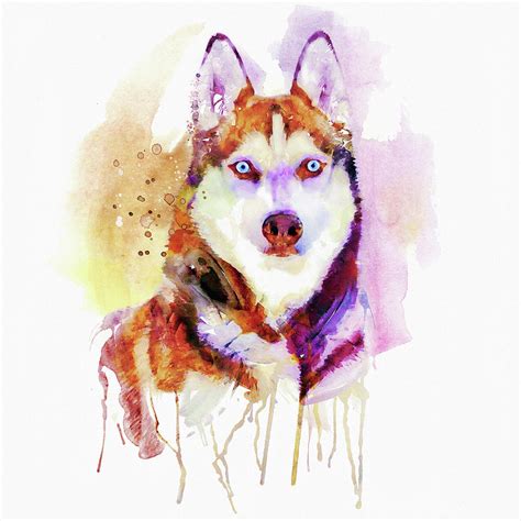 Husky Dog Watercolor Portrait Painting By Marian Voicu Pixels