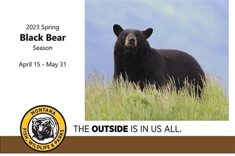Spring Black Bear Seasons Opens Saturday