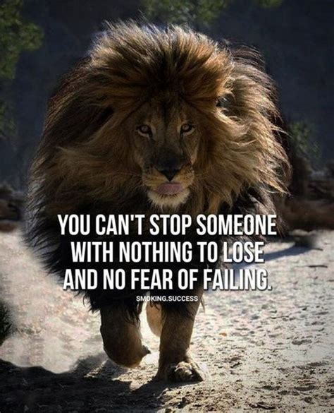 20 Motivational Quotes Brought To You By Big And Powerful Cats