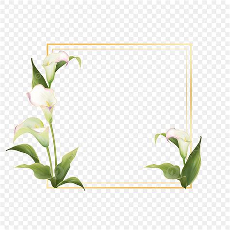 Calla Lily PNG Vector PSD And Clipart With Transparent Background