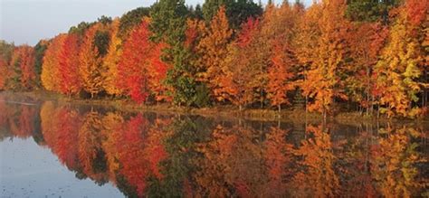 Pa Environment Digest Blog Dcnr Experts Offer Fall Foliage Tips